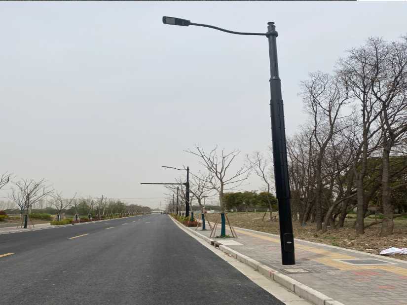 山东上海综合杆 太阳能路灯工程